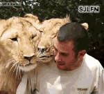 0_bc513_324ed30b_S.gif