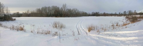 Ryb_16122013-2.jpg