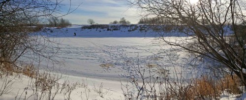Ryb_16122013-3.jpg