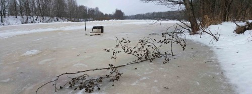 Ryb_21122013-2.jpg