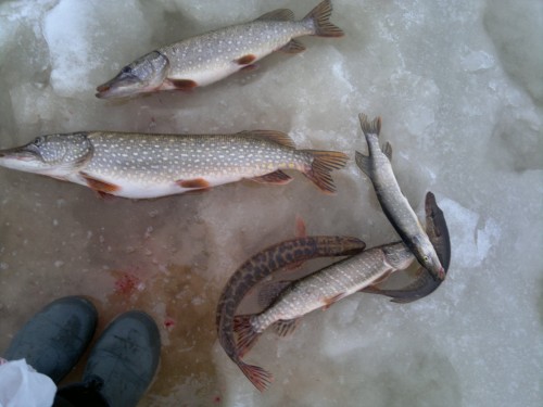 2013-12-23-298.jpg