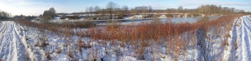 Ryb_02012014-1.jpg