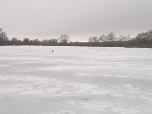 2014-01-07-310.jpg