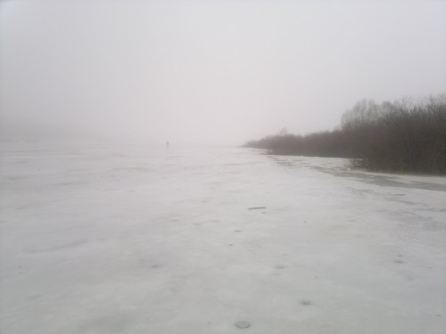 2014-01-09-312.jpg