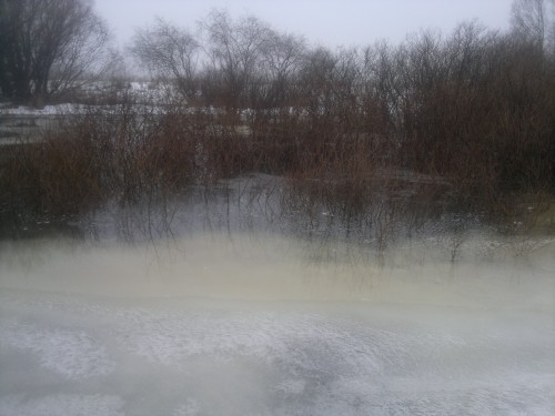 2014-01-09-313.jpg