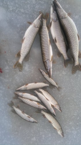 2014-01-09-316.jpg