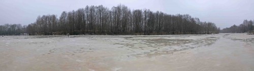 Ryb_10012014-1.jpg