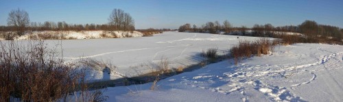 Ryb_18012014-1.jpg