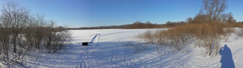 Ryb_25012014-1.jpg