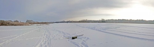Ryb_27012014-1.jpg