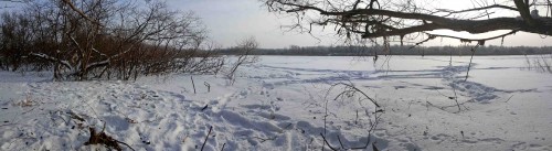 Ryb_27012014-2.jpg