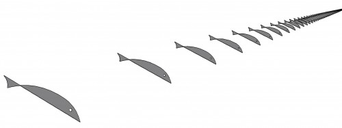 Ryb04022014-1.jpg
