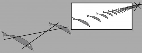 Ryb06022014-1.jpg