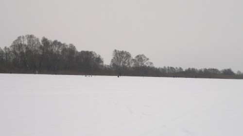 2014-02-08-331.jpg
