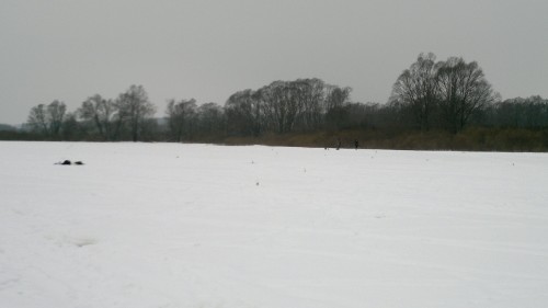 2014-02-08-332.jpg