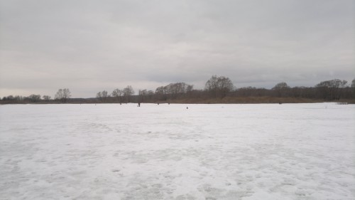 2014-02-20-341.jpg