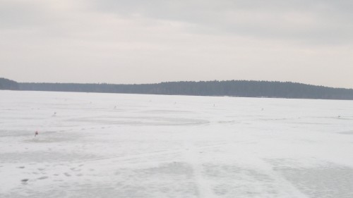 2014-02-22-345.jpg