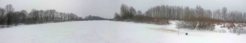 Ryb_24022014-2.jpg