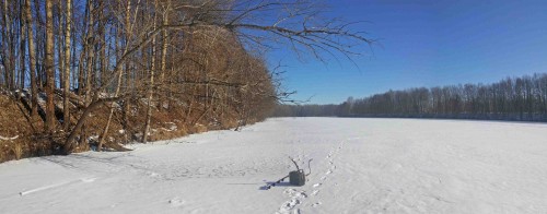 Ryb_26022014-1.jpg