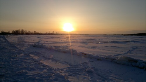 2014-03-06-349.jpg
