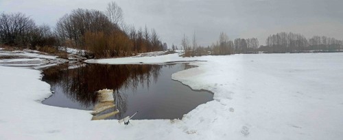 Ryb_09032014-2.jpg