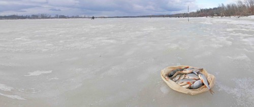 Ryb_12032014-3.jpg