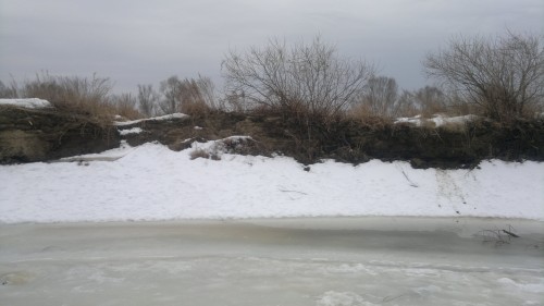 2014-03-11-350.jpg