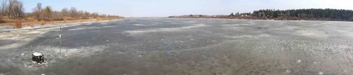 Ryb_25032014-1.jpg