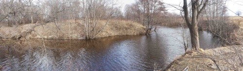 Ryb_29032014-2.jpg