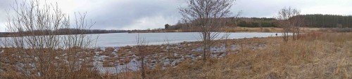 Ryb_02042014-1.jpg