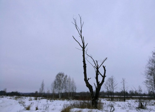 Les_25122013.jpg