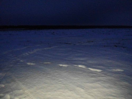 Ryb_23122013-2.jpg