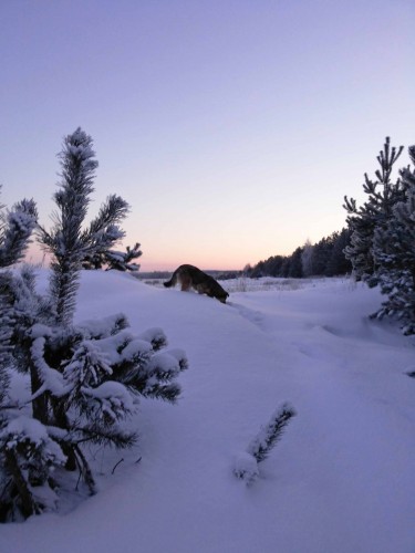 Les_25012014-3.jpg