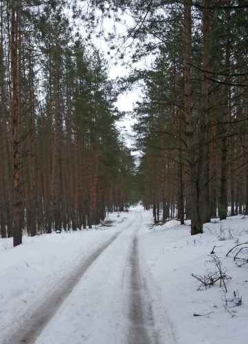 Les_17022014-1.jpg