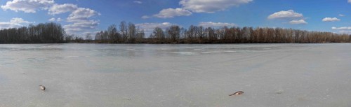 Ryb_10042014-2.jpg