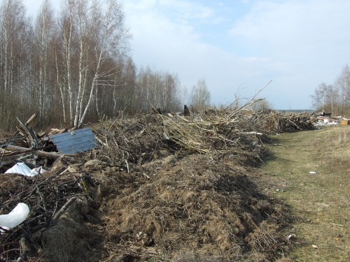 DSCF5365.jpg