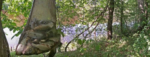 Les_20052014-4.jpg