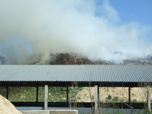 DSCF6564.jpg