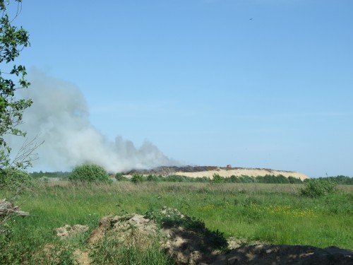 DSCF6566.jpg