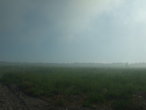 DSCF6576.jpg
