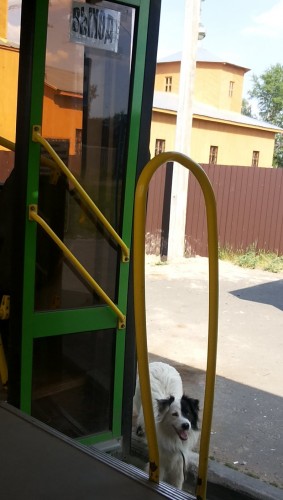 Les_05.06.14-7.jpg