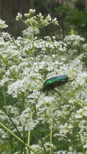 10.06.14-3.jpg