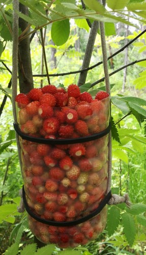 10.06.14-5.jpg