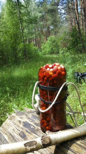14.06.14-3.jpg