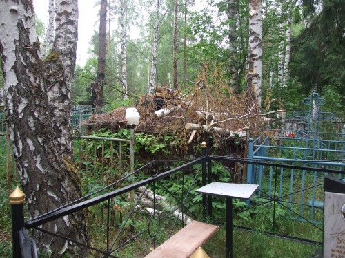 DSCF6839.jpg