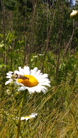 Les_30.06.14-1.jpg