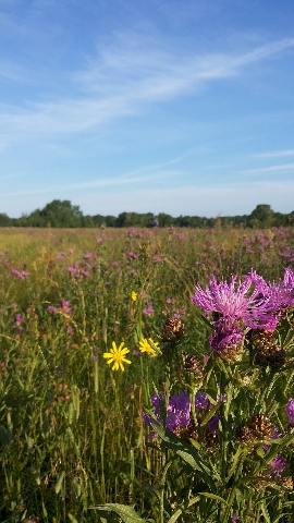 Les_05.07.14-1.jpg