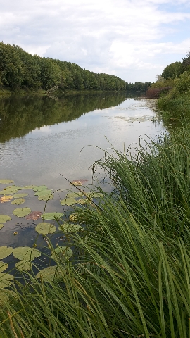 Les_05.07.14-6.jpg