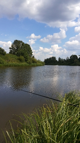 Les_05.07.14-7.jpg