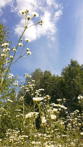 Les_06.07.14-1.jpg
